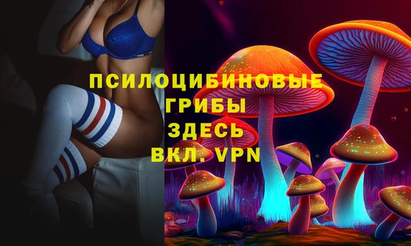 наркотики Богородск