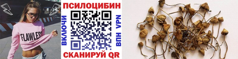 Галлюциногенные грибы ЛСД Светлый